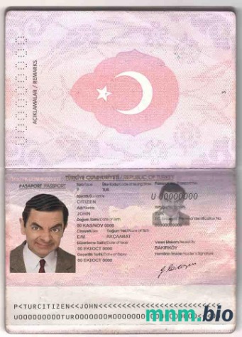 Szablon paszportu Turcji w formacie PSD, w pełni edytowalny (2010-2018) przykład w formacie PSD